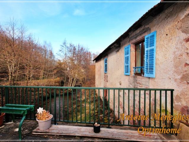 Saint Dié des Vosges Vente Maison 88