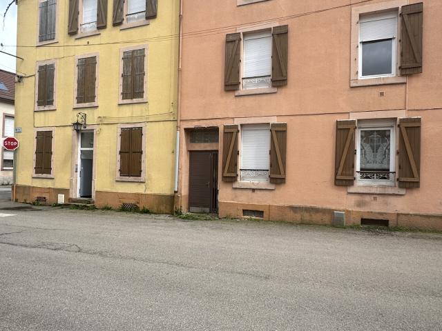 Saint Dié des Vosges Idéal investisseur Immeuble de rapport à usage mixte de 225m2