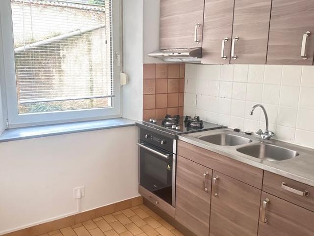 Saint Dié des Vosges Location Appartement 88