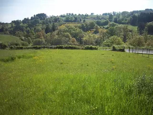 Saint Dier d'Auvergne 63520 Achat / Vente terrain