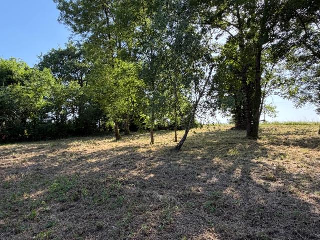 Saint Dizier Vente Terrain 52