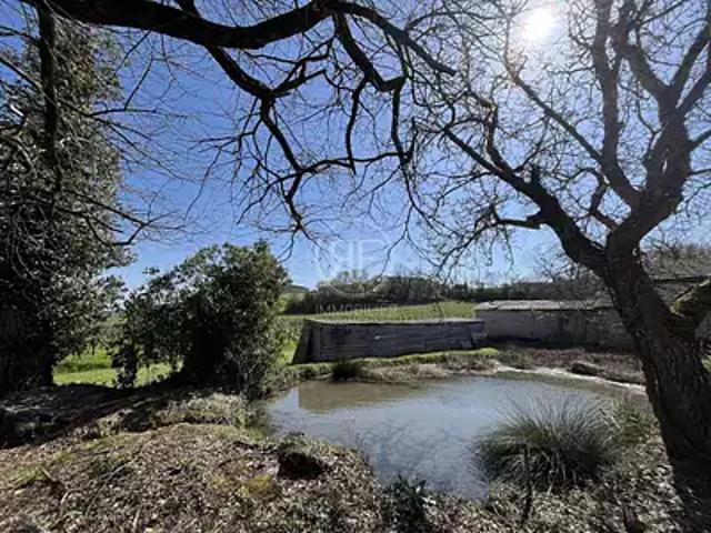 Saint Emilion 33330 Achat / Vente maison 8 pièces t8
