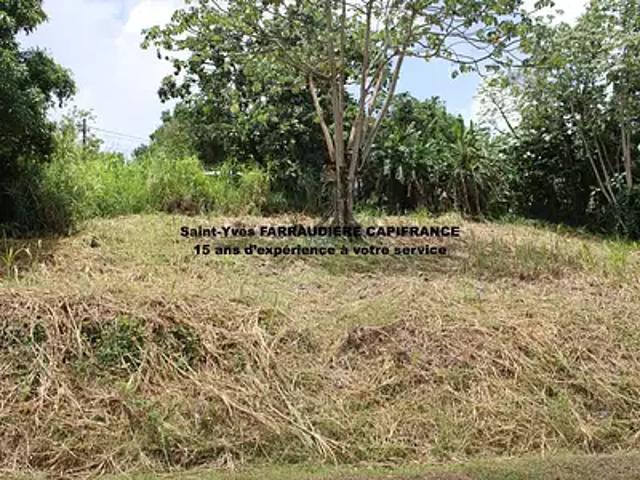 Saint Esprit 97270 Achat / Vente terrain