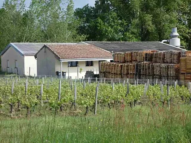 Saint Estèphe 33180 Achat / Vente divers