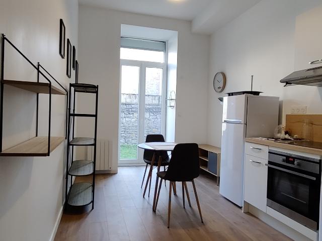 Saint Etienne Appartement meublé entièrement rénové en rez d