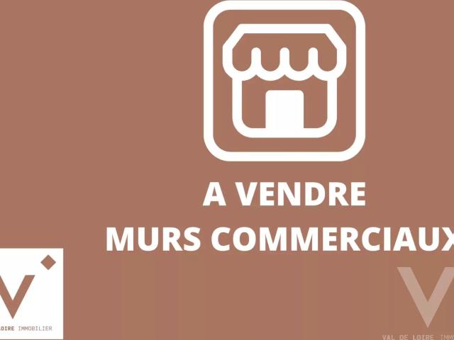 SAINT ETIENNE CENRE VILLE CHATEAUCREUX