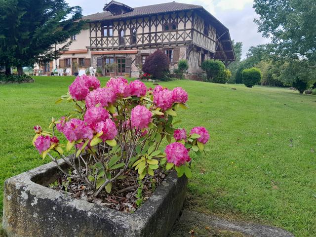 SAINT ETIENNE DU BOIS