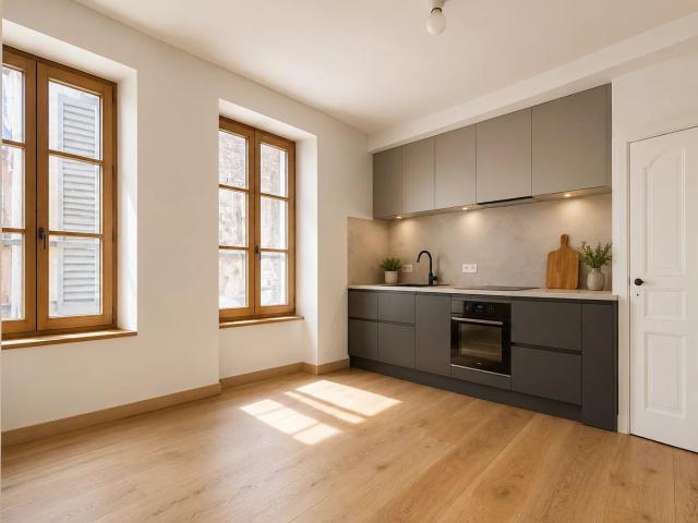 Saint Étienne de Saint Geoirs Vente Appartement 38