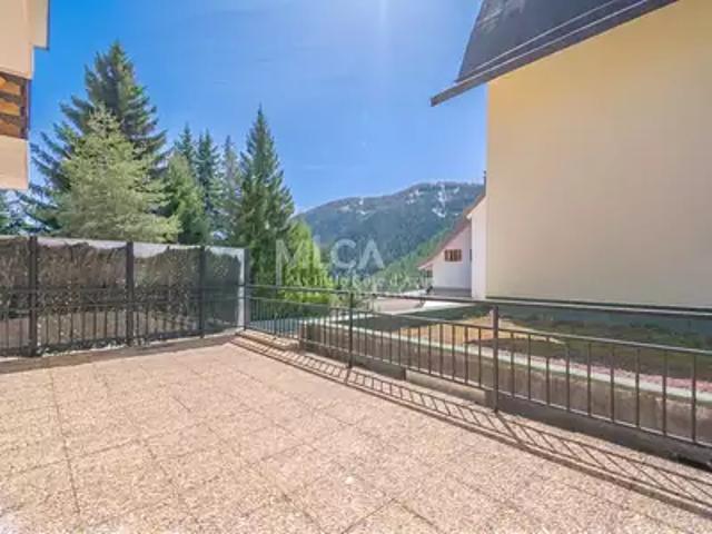 Saint Etienne de Tinée 06660 Achat / Vente appartement 1 pièce t1
