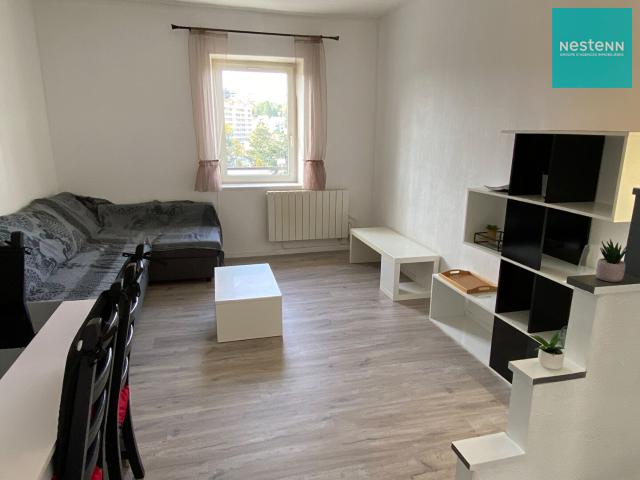 Saint Étienne Location Appartement 42