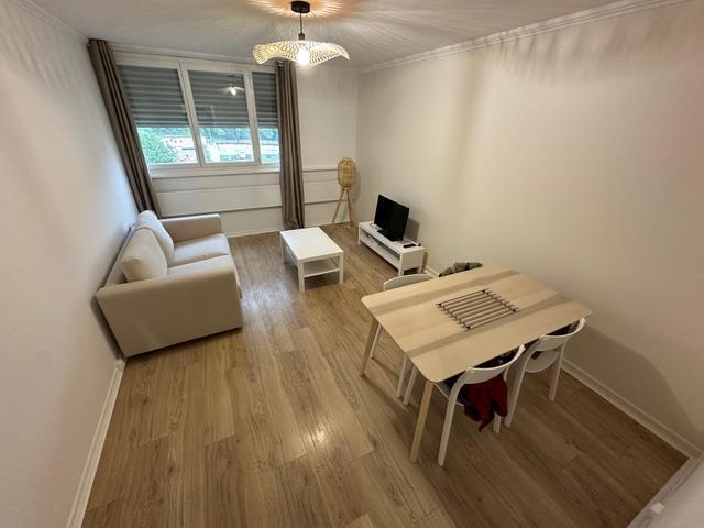 Saint Étienne Location Appartement 42