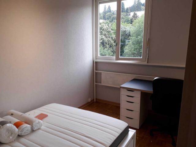 Saint Étienne Location Appartement 42