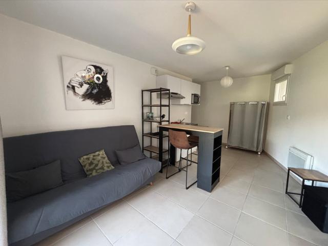 Saint Etienne Location Appartement 42