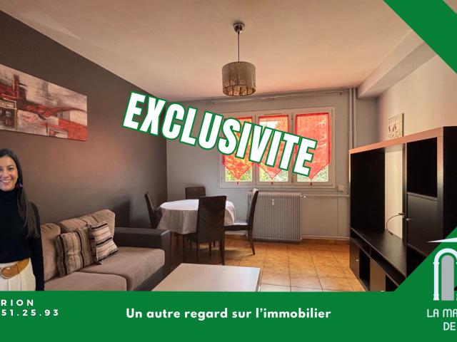Saint Etienne Vente Appartement 42