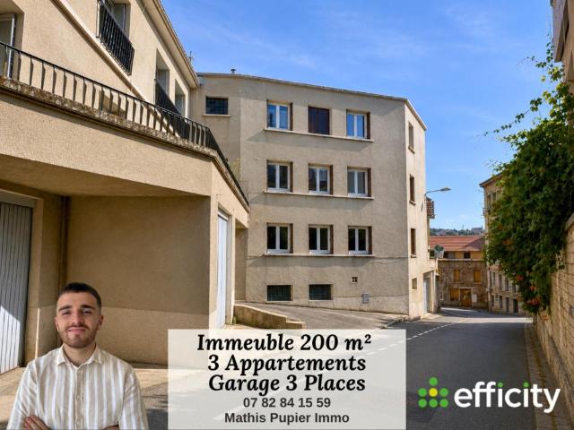 Saint Étienne Vente Immeuble 42