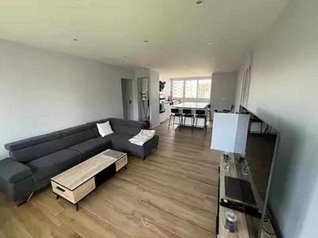 Saint Étienne 42100 Achat / Vente appartement 3 pièces t3 cave