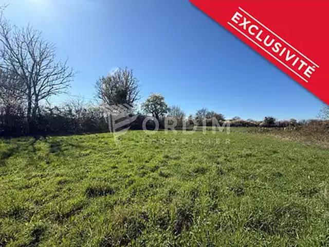 Saint Fargeau 89170 Achat / Vente terrain