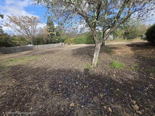 Saint Félix de Lodez Vente Terrain 34