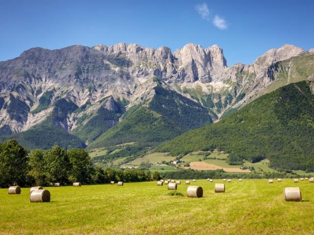 Saint Firmin Vente Terrain 05