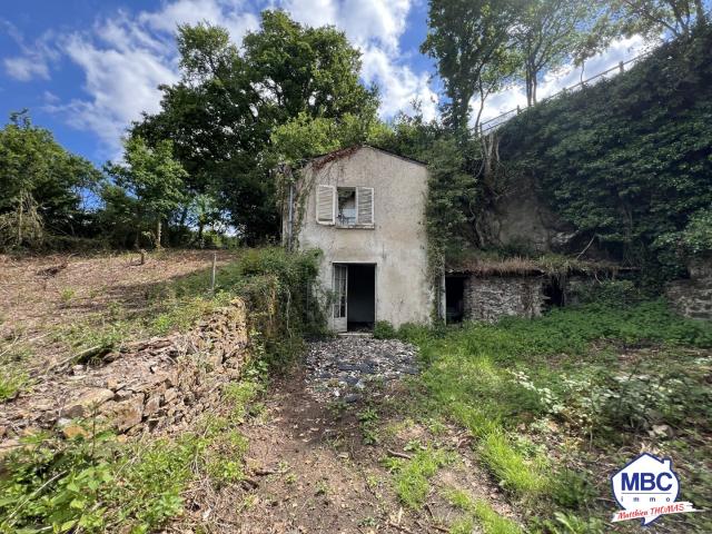Saint Florent le Vieil Vente Maison 49