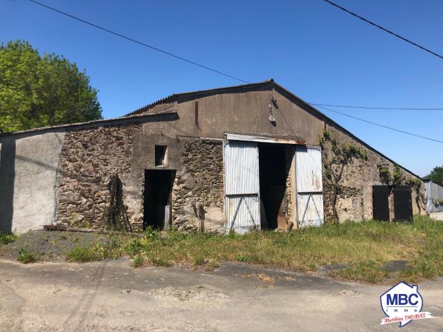 Saint Florent le Vieil Vente Maison 49