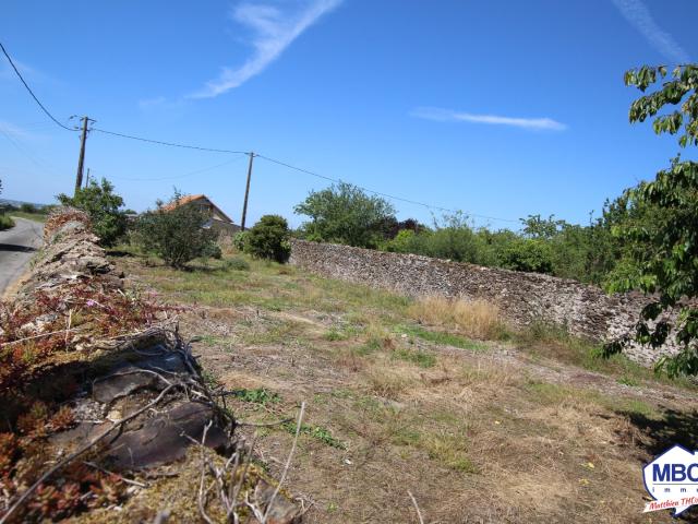Saint Florent le Vieil Vente Terrain 49