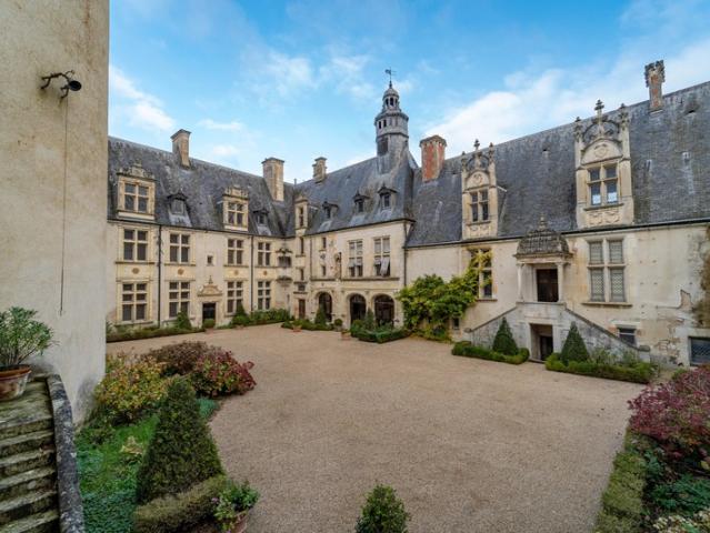 Saint Florent sur Cher Vente Propriété/château 18