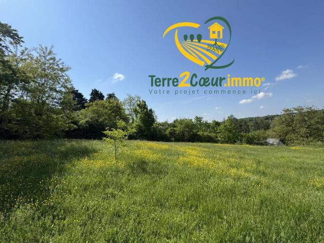 Saint Florent sur Cher Vente Terrain 18