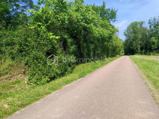 Saint Florentin Vente Terrain 89
