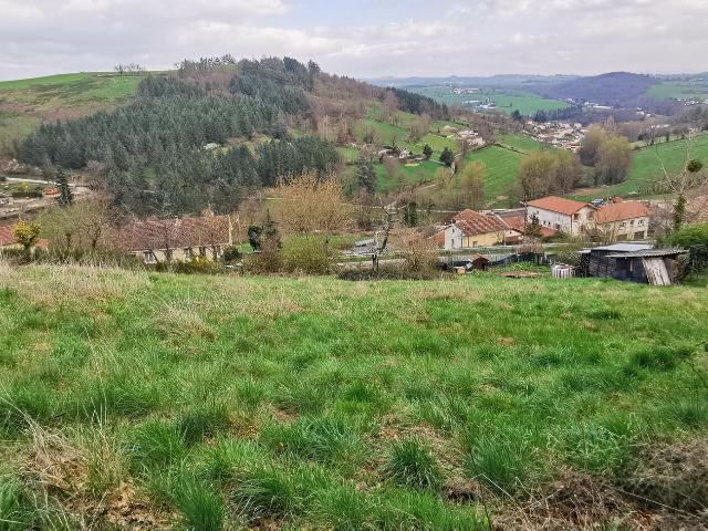 Saint Galmier Vente Terrain 42