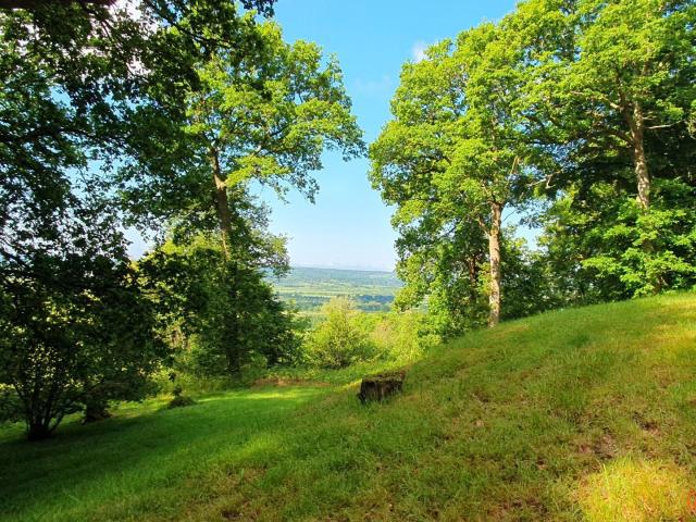Saint Gatien des Bois Vente Terrain 14