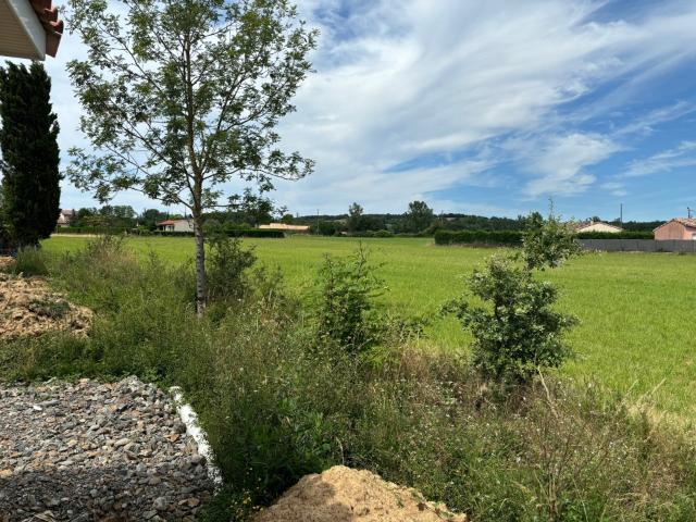 Saint Gauzens Vente Terrain 81