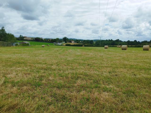 Saint Gaudens Vente Terrain 31