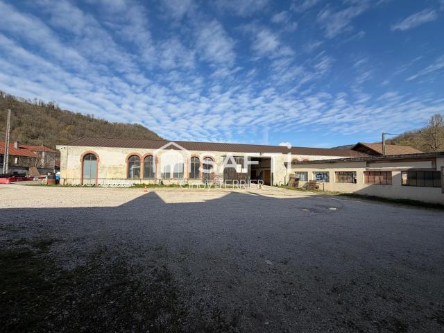 Saint Geoire en Valdaine Vente Immeuble 38