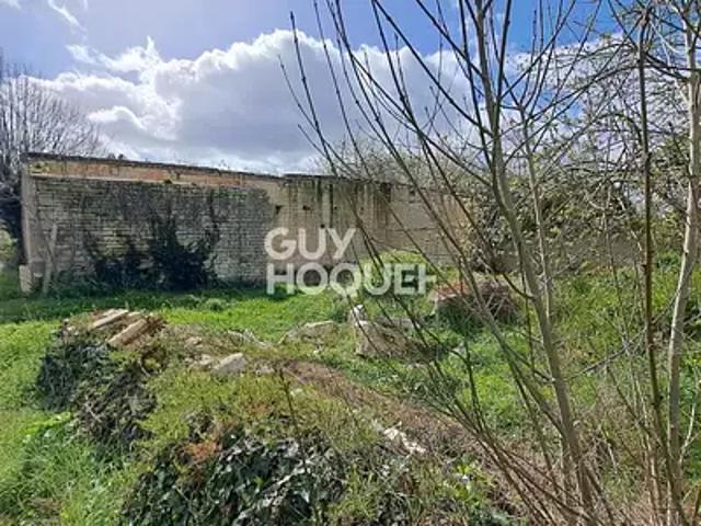 Saint Georges du Bois 17700 Achat / Vente terrain