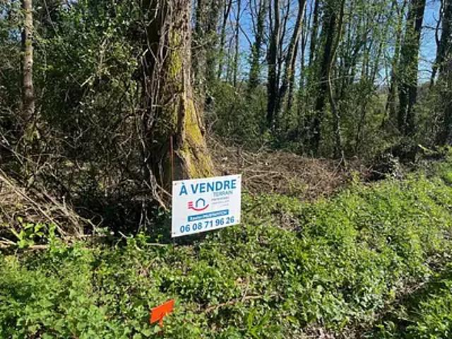 Saint Georges de Pointindoux 85150 Achat / Vente terrain