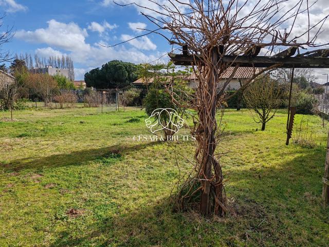 Saint Georges de Reneins Vente Terrain 69
