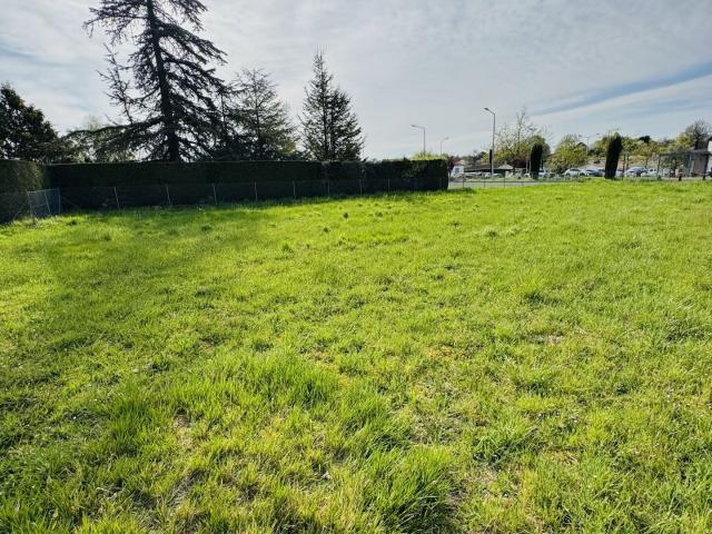 Saint Georges des Coteaux Vente Terrain 17