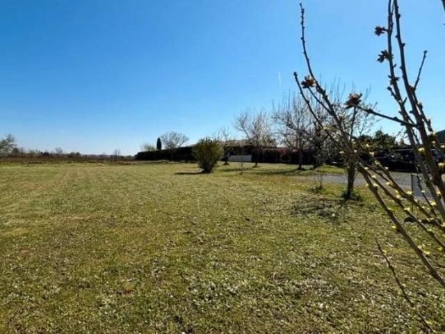 Saint Georges des Coteaux Vente Terrain 17