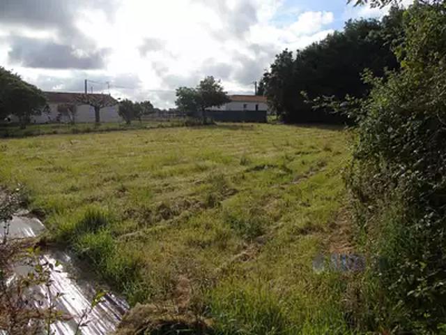 Saint Georges des Coteaux 17810 Achat / Vente terrain