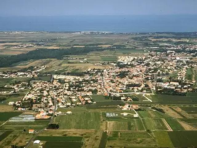 Saint Georges d'Oléron 17190 Achat / Vente terrain