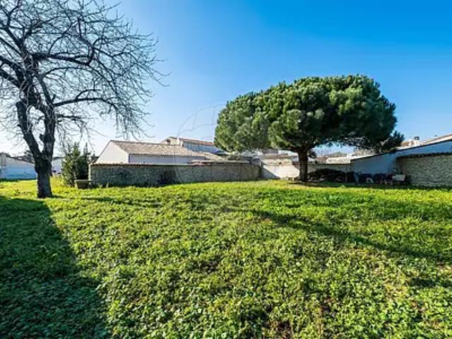 Saint Georges d'Oléron 17190 Achat / Vente terrain