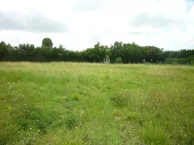 Saint Georges d'Oléron 17190 Achat / Vente terrain