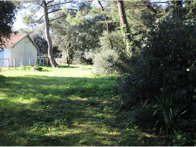 Saint Georges d'Oléron Vente Terrain 17