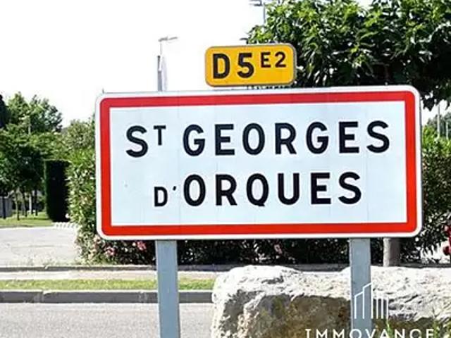 Saint Georges d'Orques 34680 Achat / Vente maison 2 pièces t2