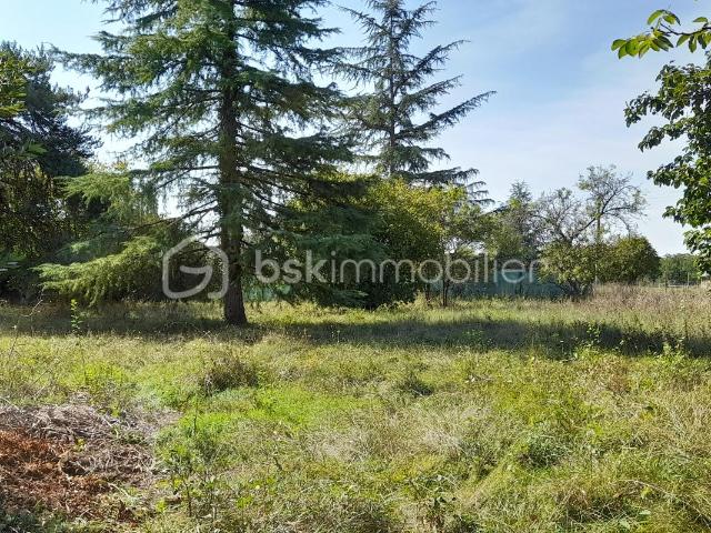 Saint Georges sur Cher Vente Terrain 41