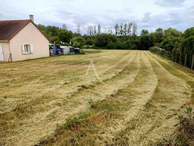Saint Georges sur Cher Vente Terrain 41