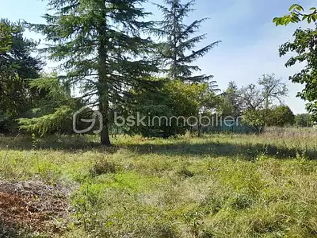 Saint Georges sur Cher 41400 Achat / Vente terrain