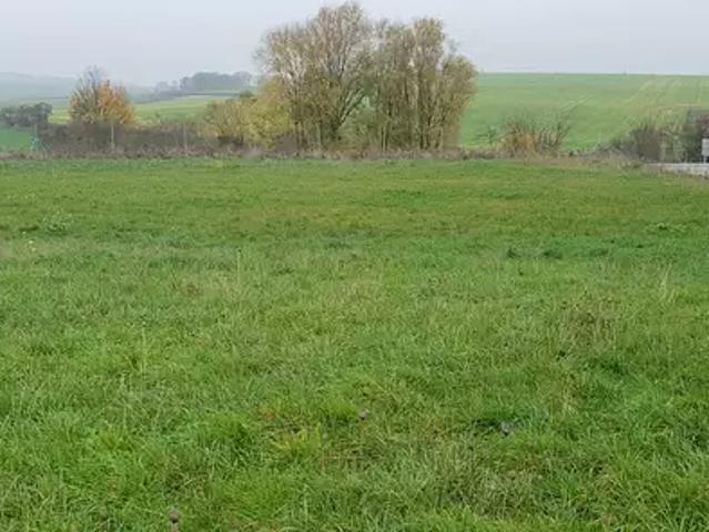 Saint Georges 57830 Achat / Vente terrain