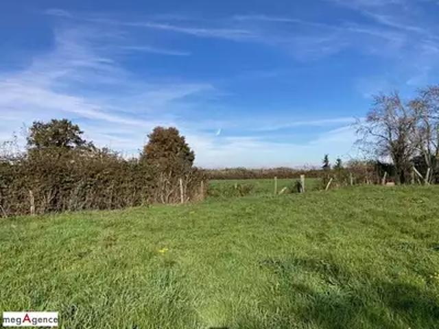 Saint Gérand le Puy 03150 Achat / Vente terrain
